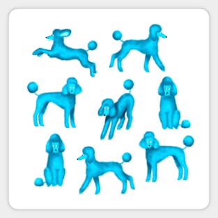 Blue Poodles Magnet